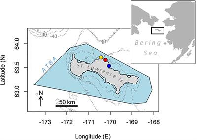 The Designated Shipping Avoidance Area Around St. Lawrence Island, Northern Bering Sea, Is not Sufficient to Protect Foraging Habitat of the Island’s Breeding Seabird Community